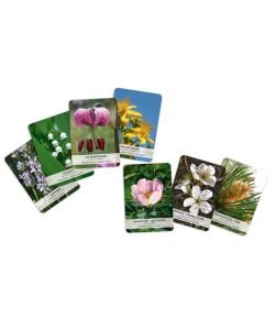 Jeu des 96 cartes d'élixirs floraux Deva, 1 part